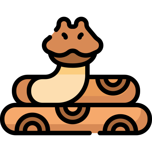 Anaconda Special Lineal color icon