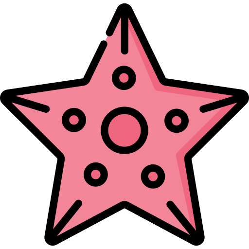estrela do mar Special Lineal color Ícone