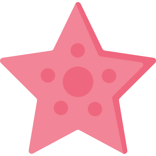 Starfish Special Flat icon