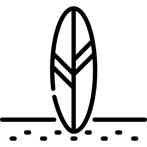 サーフボード Special Lineal icon