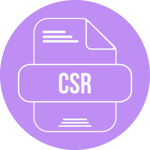 csrファイル Generic color fill icon
