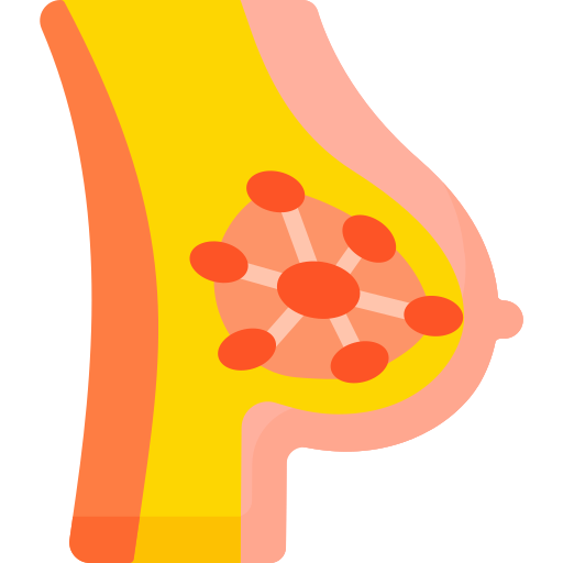 乳腺 Special Flat icon