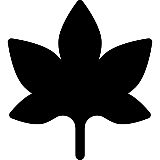 bochenek  ikona