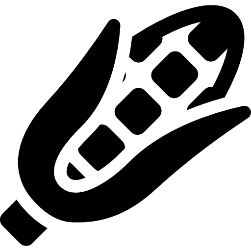 옥수수  icon