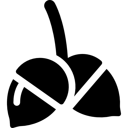 도토리  icon