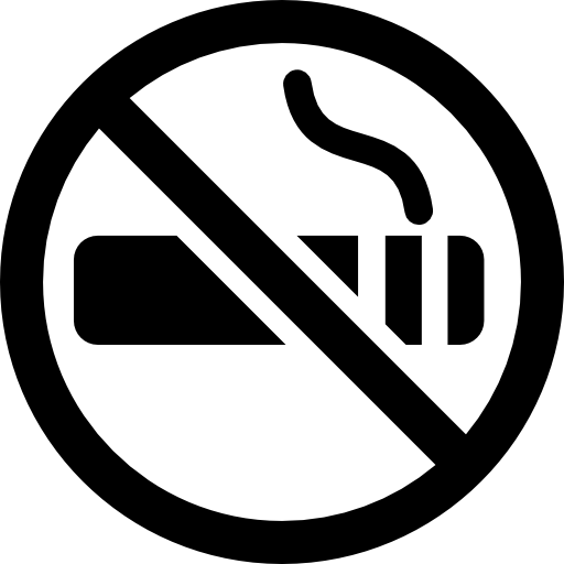 No Smoking  icon