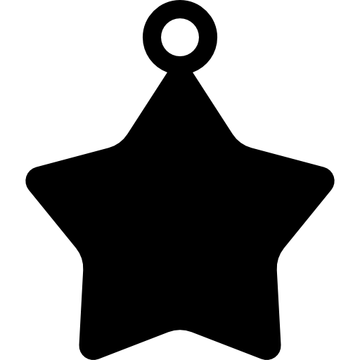 Star  icon