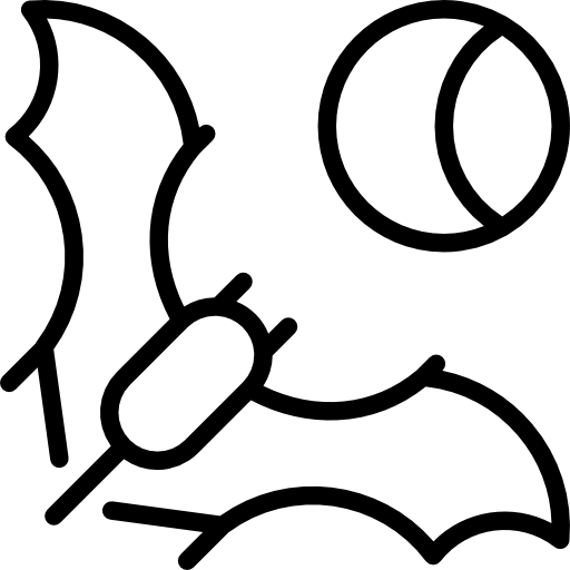 박쥐와 달 Special Lineal icon