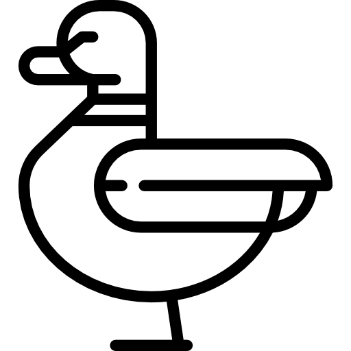 Duck Special Lineal icon