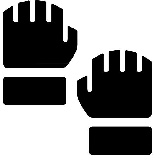 Gloves  icon