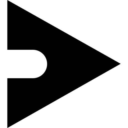 flecha correcta  icono