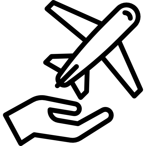 vliegtuig in de hand Special Lineal icoon