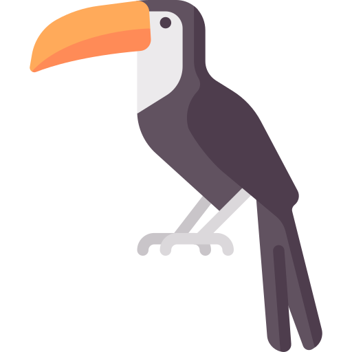toucan Special Flat Icône