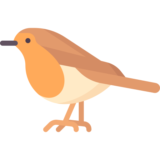 robin Special Flat icono