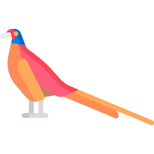 Pheasant Special Flat icon