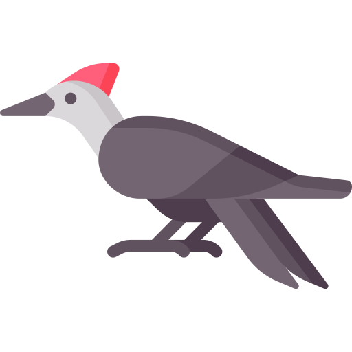 Woodpecker Special Flat icon