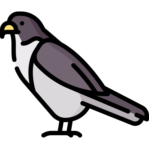Falcon Special Lineal color icon