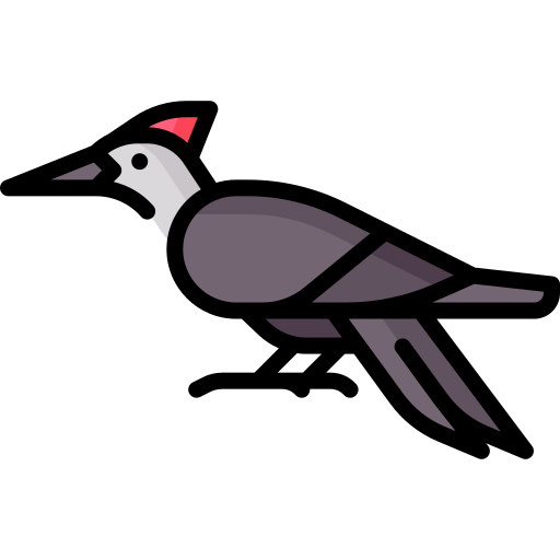 Woodpecker Special Lineal color icon