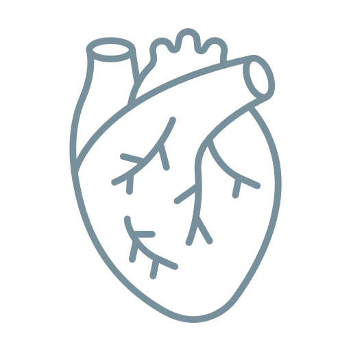 Сердце Generic color outline иконка