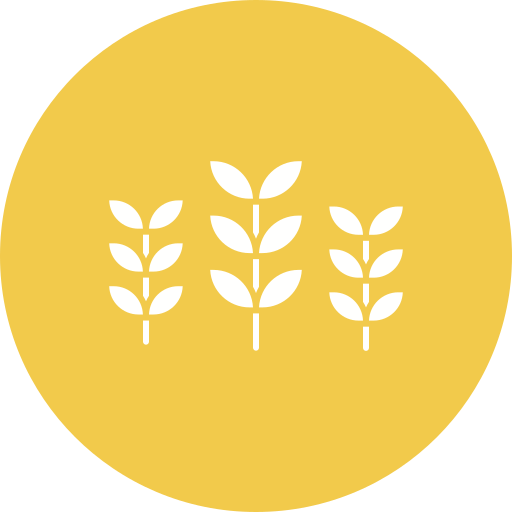 小麦 Generic color fill icon