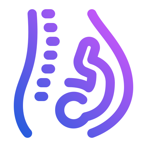 embarazada Generic gradient outline icono