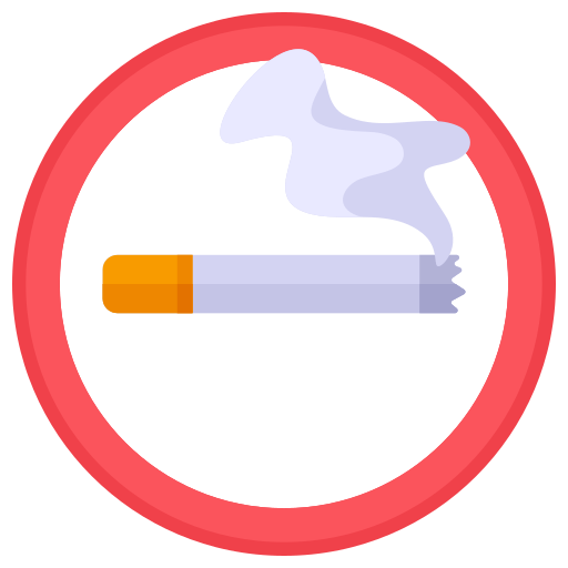 area fumatori Generic color fill icona
