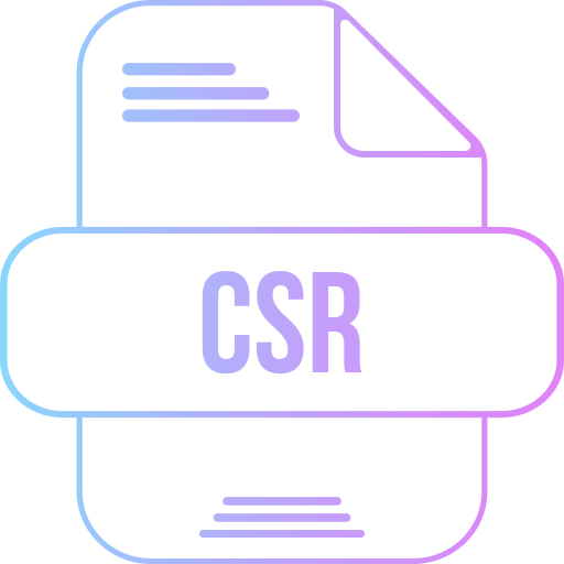 Csr file Generic gradient outline icon