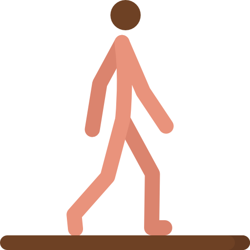 Walking Special Flat icon