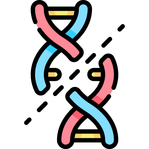 dna Kawaii Lineal color ikona