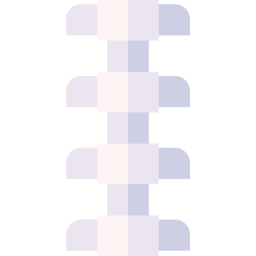 Spine Basic Straight Flat icon