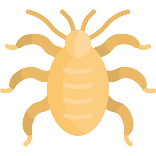 Mite Special Flat icon