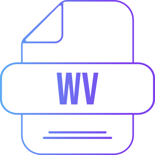 wv Generic gradient outline icon