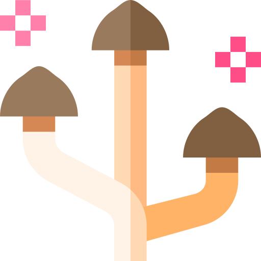 champignon Basic Straight Flat Icône