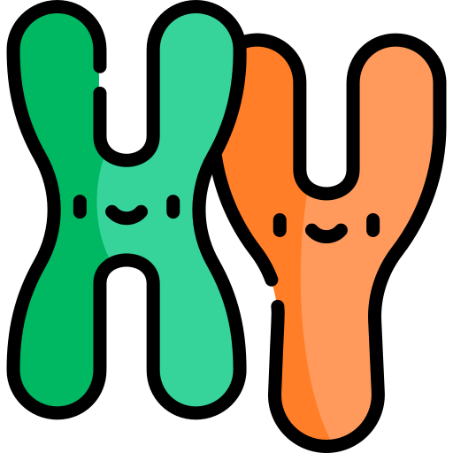 chromosome Kawaii Lineal color Icône