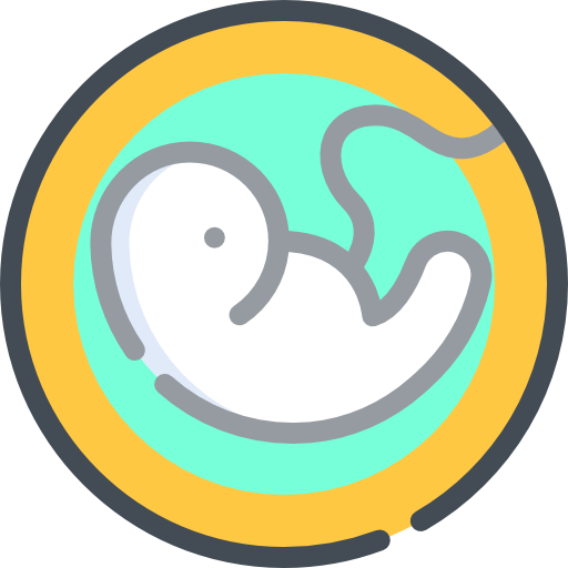 el embarazo Special Bicolor icono