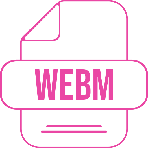 webm Generic color lineal-color icon