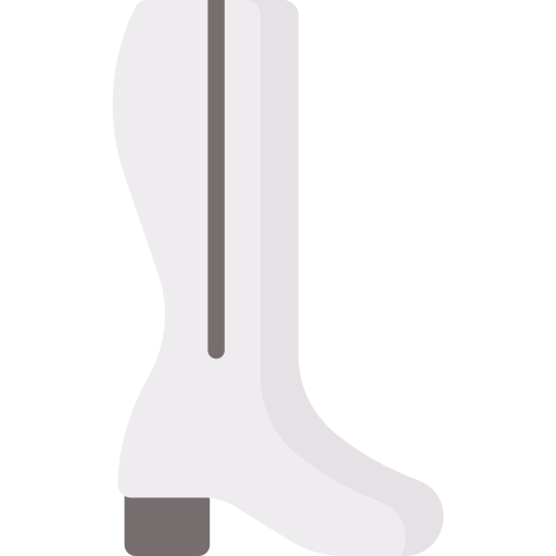 Сапоги Special Flat иконка
