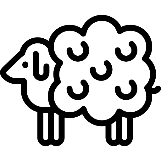 Sheep Special Lineal icon