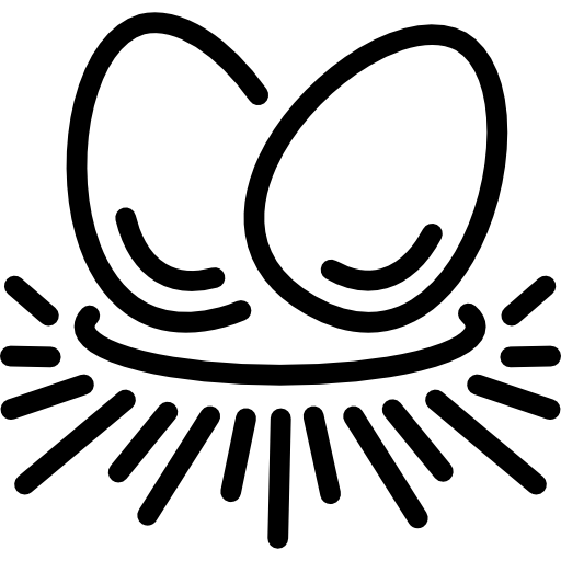jajka Special Lineal ikona