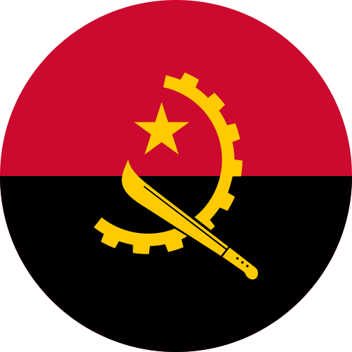 angola Generic color fill icon