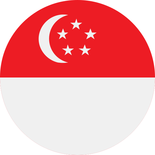 singapore Generic color fill icoon