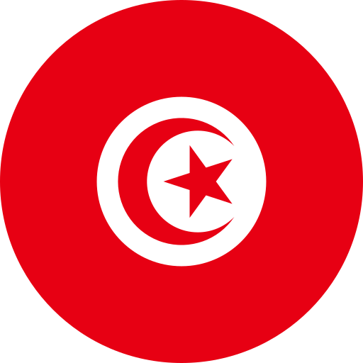 チュニジア Generic color fill icon