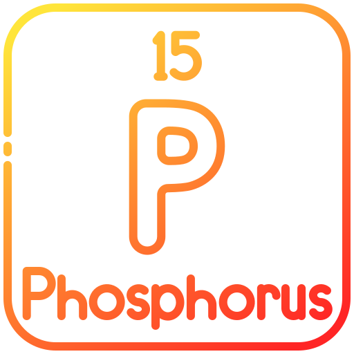 fosforo Generic gradient outline icona