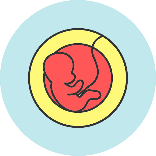 fœtus Generic color lineal-color Icône