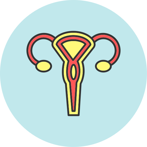 utérus Generic color lineal-color Icône