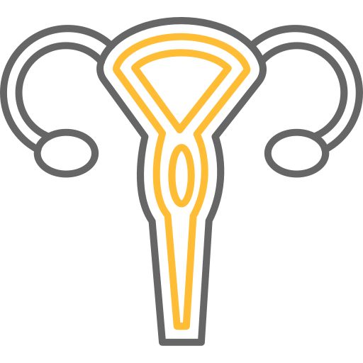 baarmoeder Generic color outline icoon