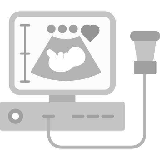 Ultrasound Generic color fill icon