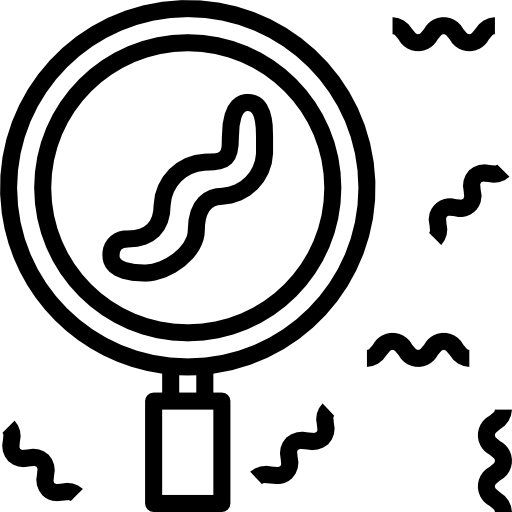 verme geotatah Lineal icona