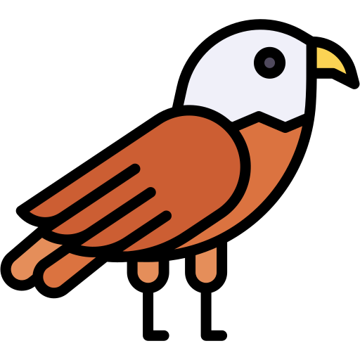 독수리 Generic color lineal-color icon