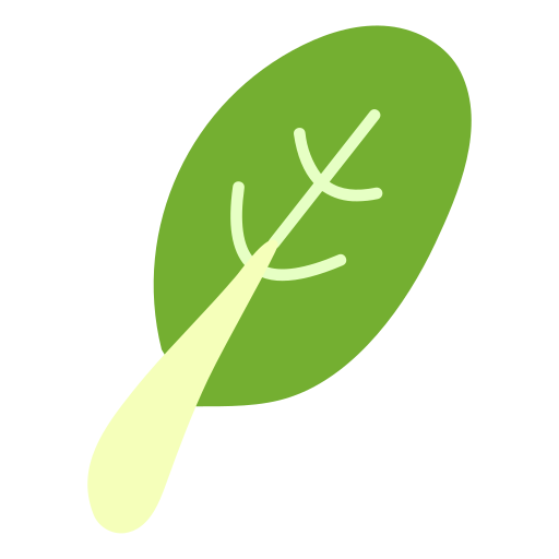Bok choy Generic color fill icon